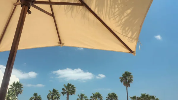 Parasol Palmeras Cielo Con Nubes Concepto Viaje —  Fotos de Stock