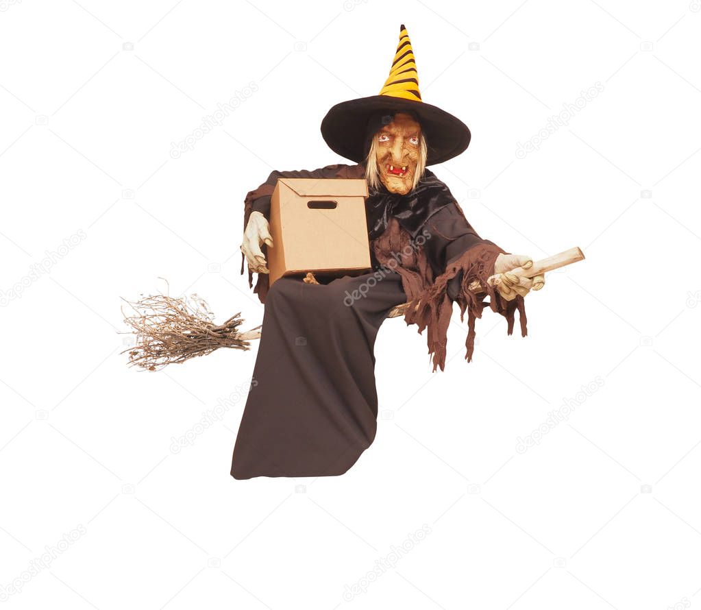 Terrible witch isolated on a white background. Halloween concept
