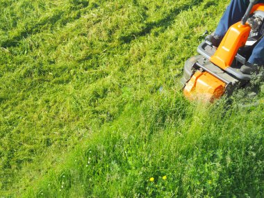 Çim biçme makinesinin üst görüntüsü. şehir alanı,