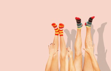 Komik çizgili çoraplar. Evli bir çiftin bacakları. Mercan Pembesi 'nde izole edilmiş.