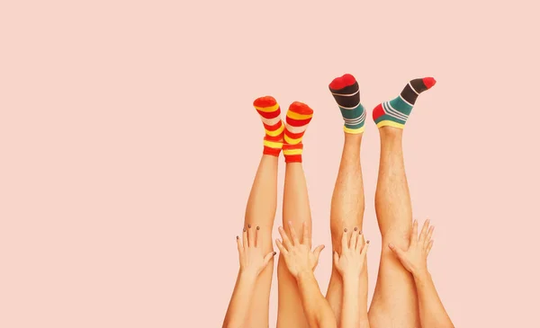 Funny striped socks. Legs of a married couple. Isolated on the Coral Pink
