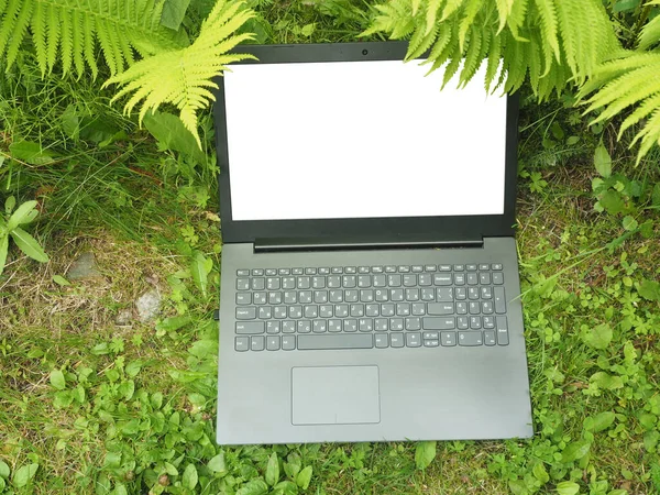 Notebook and nature. Top view. Pastoral life Concept