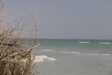 Ölü Deniz'in arka planı gri bir sis mesafe Yahudi yıldaki tuz melodileri ile ıssız sahil.