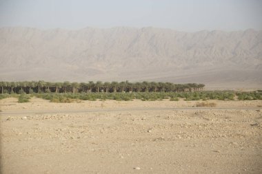 Judean Desert aracılığıyla karayolu üzerinde yolculuk