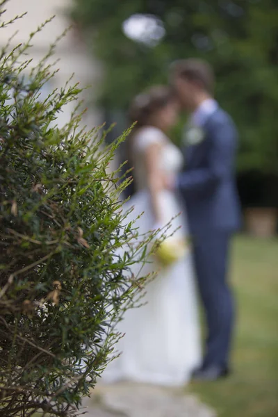vertical image of the bride and groom in the distance, photographed because of a decorative bush