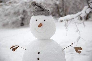 bir havuç yerine bir burun ve karla kaplı bir çayır bahçenin arka plan bulanık on sıcak bir örme şapka ile komik kardan adam.