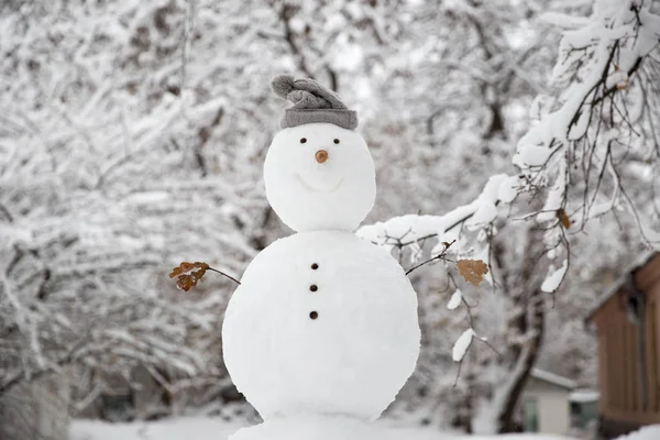 Lustiger Schneemann Mit Karotte Statt Nase Und Warmer Strickmütze Auf — Stockfoto