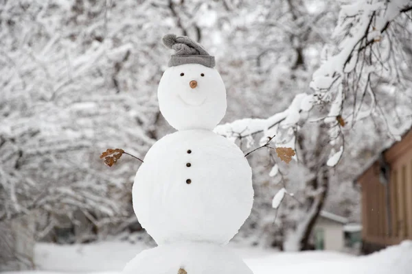 Grappige Sneeuwpop Met Een Wortel Plaats Van Een Neus Een Rechtenvrije Stockfoto's