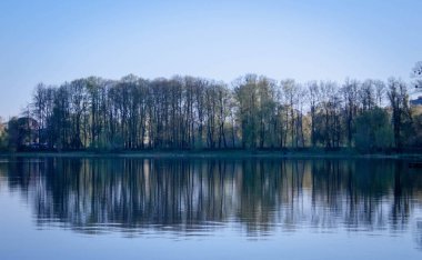 güzel manzara mavi gökyüzü kentsel göl sularının ağaçlarda yansıma