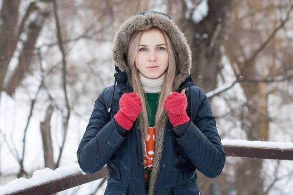 karlı bir kış park bulanık bir arka plan üzerinde uzun sarı saçlı güzel anlamlı genç kız