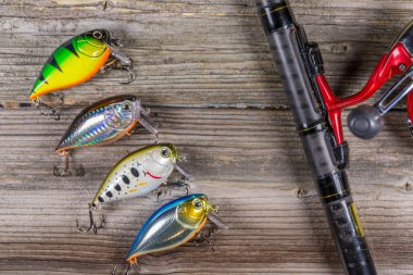 Balık oltası - balık yemi ve ahşap arka planda dönme.Üst manzara