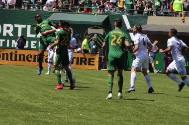 ABD, Oregon, Portland - 16 Nisan 2018: futbol maçı Providence Park