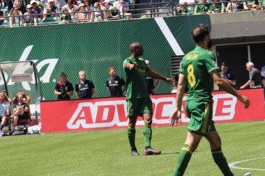 ABD, Oregon, Portland - 16 Nisan 2018: futbol maçı Providence Park