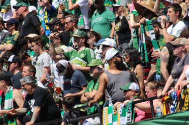 ABD, Oregon, Portland - 16 Nisan 2018: futbol maçı izlerken futbol taraftarları