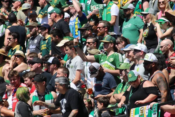 Die Holzarmee Die Besten Fußballfans Der Major League Soccer Providence — Stockfoto