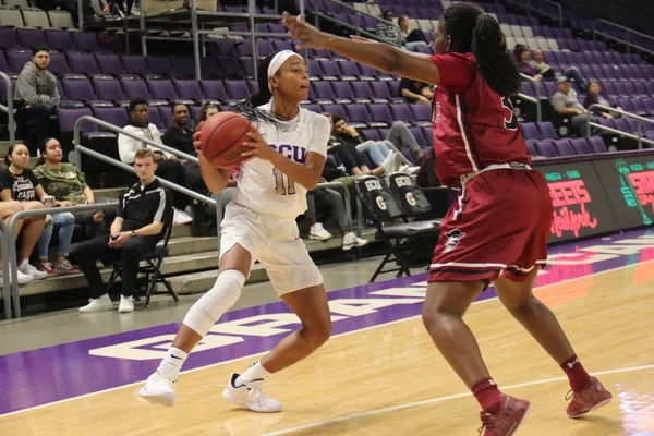 Grand Canyon Üniversitesi Antilop Phoenix Abd Ocak Gcu Arena Için — Stok fotoğraf