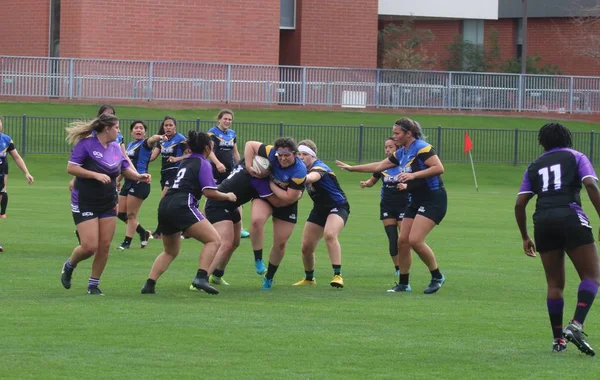 Estadio Gcu Phoenix Usa Febrero 2019 — Foto de Stock