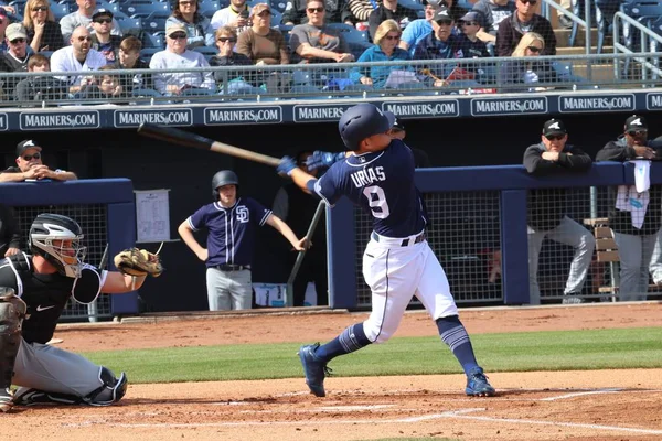 Presso Peoria Sports Complex Peoria Usa Feb 2018 — Foto Stock