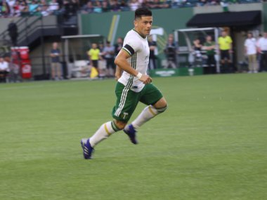 Portland, Oregon, 13 Temmuz 2019: Portland Timbers ve Colorado Rapids maçı, Portland Providence Park