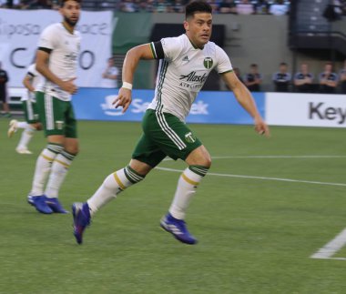 Portland, Oregon, 13 Temmuz 2019: Portland Timbers ve Colorado Rapids maçı, Portland Providence Park