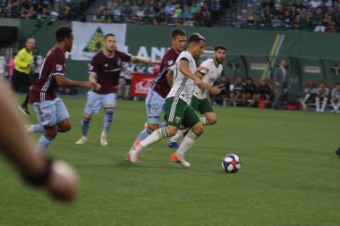 Portland, Oregon, 13 Temmuz 2019: Portland Timbers ve Colorado Rapids maçı, Portland Providence Park