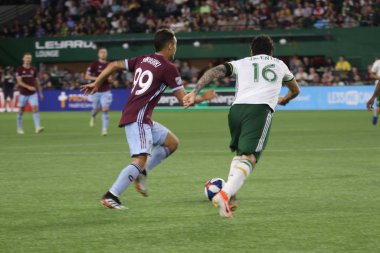 Portland, Oregon, 13 Temmuz 2019: Portland Timbers ve Colorado Rapids maçı, Portland Providence Park