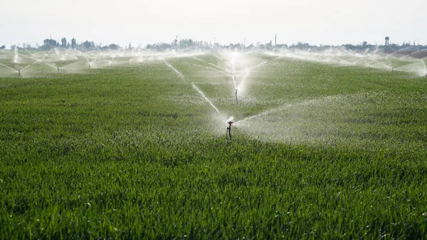 Les Systèmes Irrigation Agricole Sont Dans Champ Herbe Coucher Soleil Photos De Stock Libres De Droits