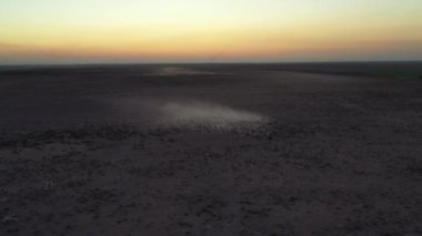 Koyunlar gün batımında otlakta olurlar. Gün batımı manzarası