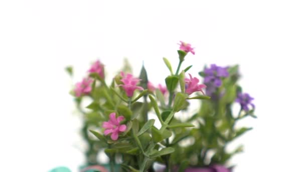 Pink, purple, and wihte artificial flowers with flowerpot rotate slowly on white background. — Stock Video