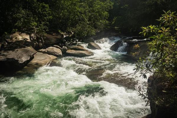 Rápidos de agua que fluyen sobre rocas en un bosque lluvioso — Foto de Stock