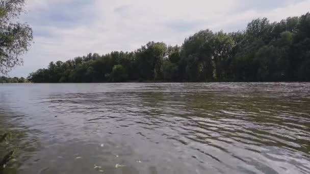 De oppervlakte van de rivier met de bladeren die erin gevallen zijn — Stockvideo