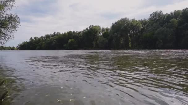 La surface de la rivière avec les feuilles qui y sont tombées