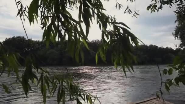 Le soleil brille à travers les feuilles vertes de l'arbre balancées par le vent. Vue sur la rivière