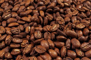 Kavrulmuş kahve çekirdekleri. Pacamara - bir çeşit Arabika.