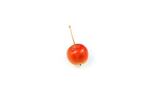 Jabłko krabowe izolowane na białym tle — Zdjęcie stockowe