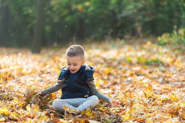 Niño adorable con hojas en el parque de otoño — Foto de Stock