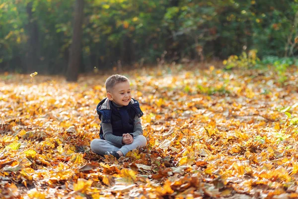 Sonriente niño adorable con hojas en el parque de otoño — Foto de Stock