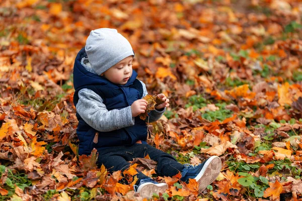Niño pequeño en las hojas de otoño — Foto de Stock