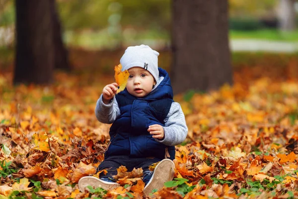 Pequeño chico caucásico sosteniendo una hoja naranja — Foto de Stock