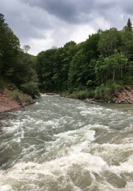 Orman dağı nehri, hızlı bir akıntıyla