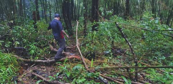 観光客や男性ハイカーは 熱帯深い森やヴィンテージトーンのジャングルの中で多くの竹の背景を持つ倒木を歩く 自然の中での旅行とハイキング — ストック写真