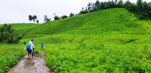 Tourist or Hikers group in raincoat with backpack walking through the way among corn field with green mountain and sky background. Travel in beautiful nature and Activity on long weekend.