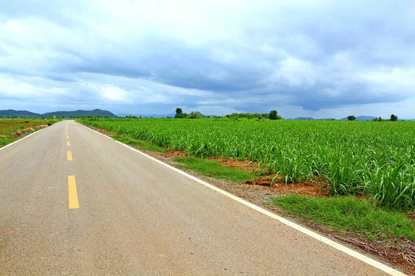 Largo Camino Asfalto Vacío Recto Camino Rural Con Hermosa Granja — Foto de Stock