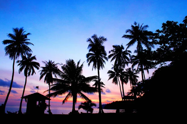 昂松岛国家海洋公园热带海滩上日出时分的椰子树和棕榈树的轮廓 泰国素拉拉巴尼 美丽的自然景观和旅游地标 — 图库照片