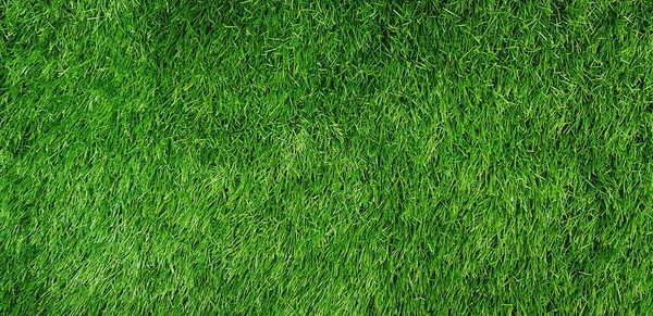 Green grass field for background or - Land, Surface , Natural wallpaper and Playing sport game area concept