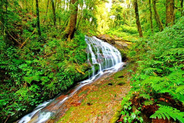 Kis Gyönyörű Vízesés Mély Erdőben Kew Mae Pan Tanösvény Doi — Stock Fotó