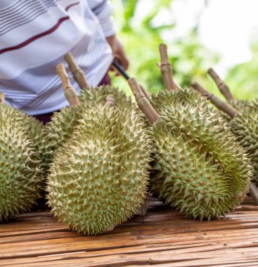 Masadaki müşterilere satılık Durian meyvesi. Tayland 'da Durian pazarı.