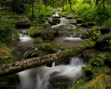 Dumanlı Mountians bozulmamış yosun kaplı şelale