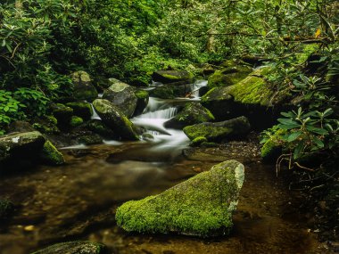Dumanlı Mountians bozulmamış yosun kaplı şelale
