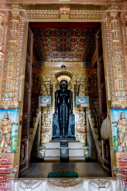 Hindistan 'daki Jain Tapınağı